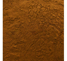 Чага экстракт