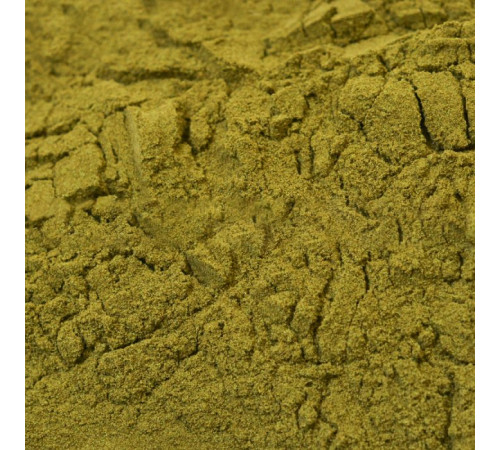 Эхинацея экстракт