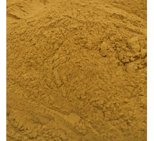 Бадяга экстракт