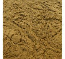 Солянка Холмовая экстракт