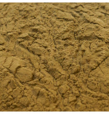 Солянка Холмовая экстракт