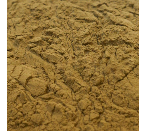 Солянка Холмовая экстракт